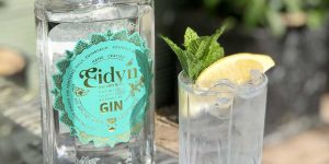 Read more about the article Aldi launches new premium gin