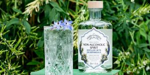 Read more about the article Old Curiosity releases first alcohol-free gin