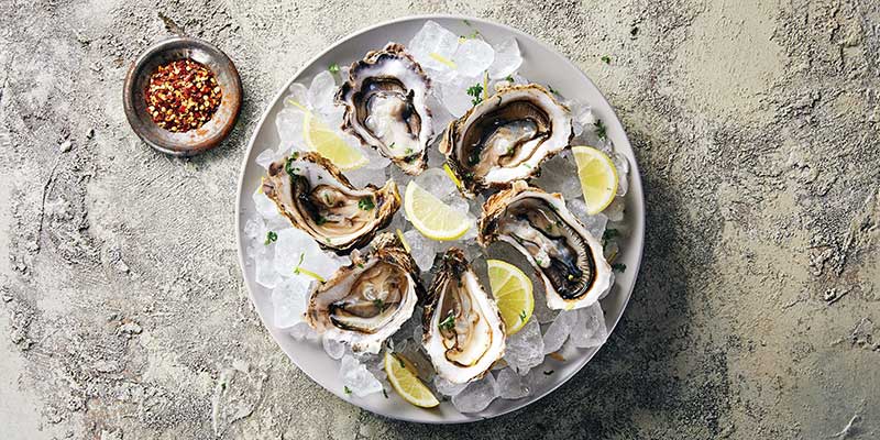 Scottish oysters