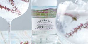 Read more about the article Tobermory Mountain Gin on top of the world
