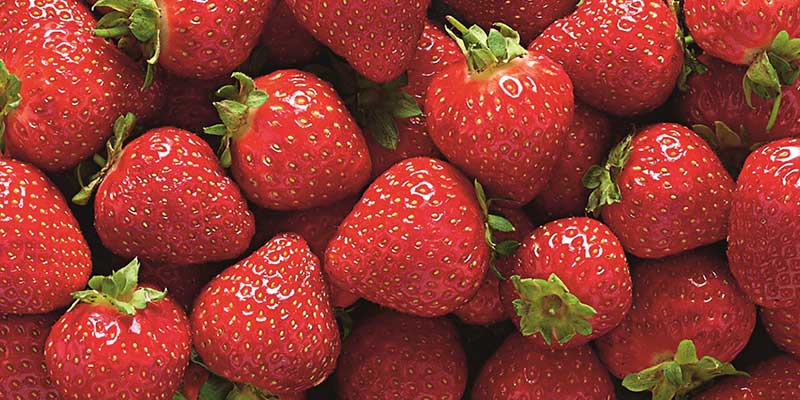 You are currently viewing First Scottish strawberries of the season hit Aldi shelves