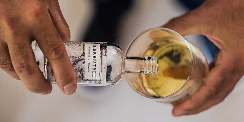 Birkentree birch water