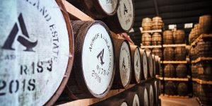 Read more about the article Arbikie Distillery launches tour experience