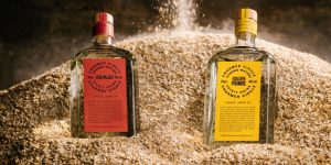 Read more about the article Holyrood Distillery to roll out two Strong Waters varieties