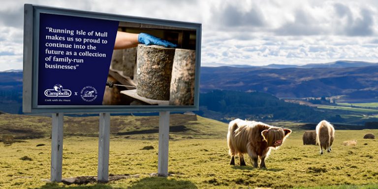 Billboard next to Highland cattle
