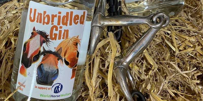 You are currently viewing Neigh bother! New gin supports horse charity